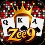 Zee 9 Game