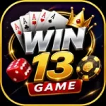 Win13 Game